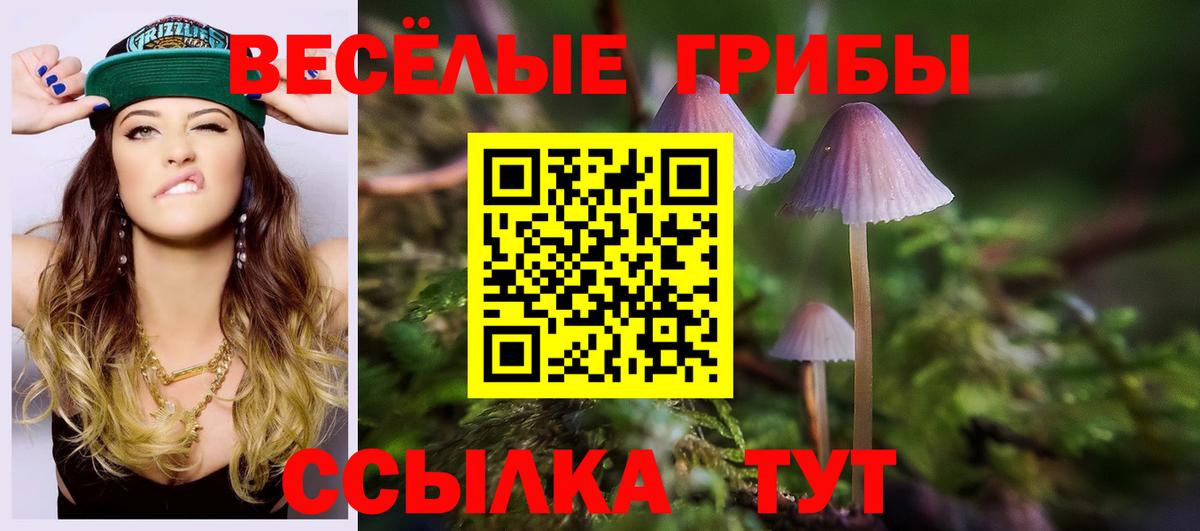 Галлюциногенные грибы Psilocybine cubensis  Вход с VPN  Борзя 