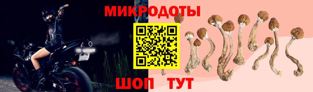 Галлюциногенные грибы прущие грибы Борзя